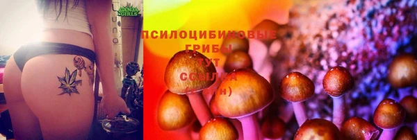дмт Верея