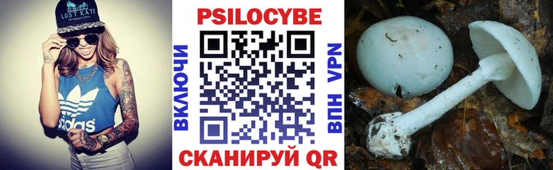 Псилоцибиновые грибы Magic Shrooms  Лукоянов 